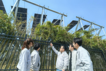 兰州大学：科技创新助力新能源“风光无限”